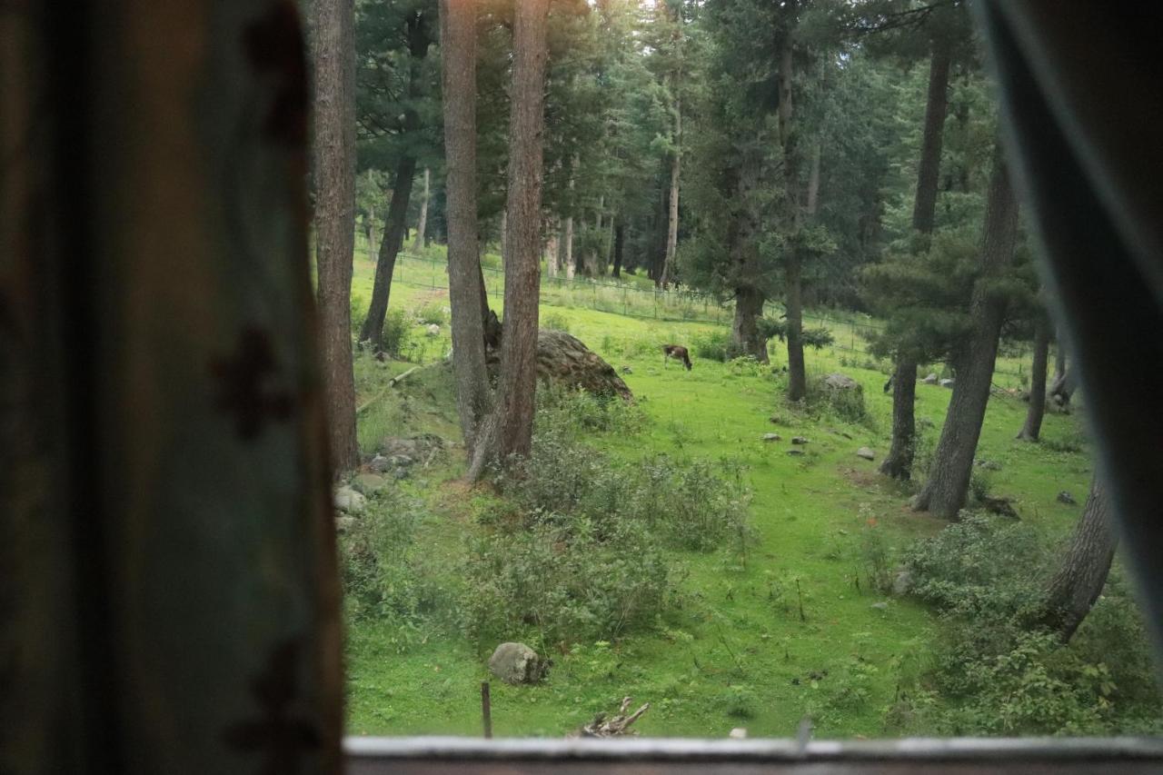 Oswal Cottage Pahalgām Exteriér fotografie